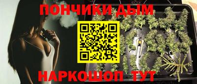 сатива Пушкино