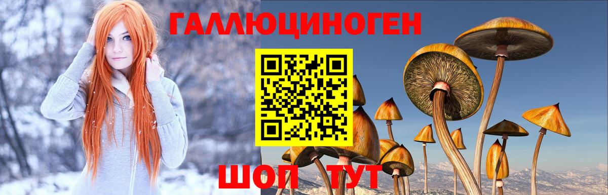 Псилоцибиновые грибы прущие грибы  Вход с VPN  Саранск 